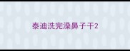 泰迪洗完澡鼻子干