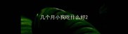 几个月小狗吃什么好