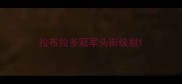 拉布拉多冠军头衔级别