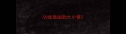 训练泰迪狗大小便