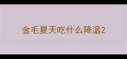 金毛夏天吃什么降温