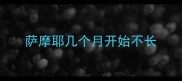 萨摩耶几个月开始不长