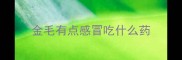 金毛有点感冒吃什么药