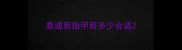 泰迪剪指甲剪多少合适