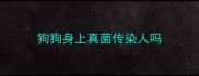 狗狗身上真菌传染人吗