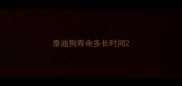 泰迪狗寿命多长时间