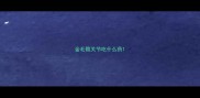 金毛髋关节吃什么药