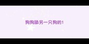 狗狗舔另一只狗的