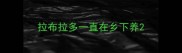 拉布拉多一直在乡下养