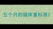 五个月的猫体重标准