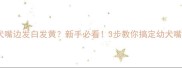 金毛幼犬嘴边发白发黄新手必看3步教你搞定幼犬嘴边护理
