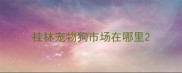 桂林宠物狗市场在哪里