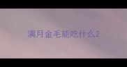 满月金毛能吃什么