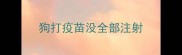 狗打疫苗没全部注射