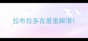 拉布拉多在屋里脚滑