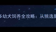 新手必看拉布拉多幼犬饲养全攻略从挑选到训练的零失败指南
