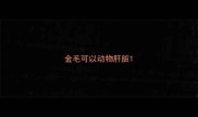 金毛可以动物肝脏