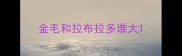 金毛和拉布拉多谁大