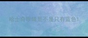 哈士奇眼睛是不是只有蓝色