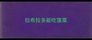 拉布拉多能吃菠菜