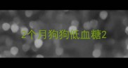 2个月狗狗低血糖