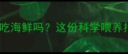 狗狗疫苗后能吃海鲜吗这份科学喂养指南请收好