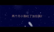 两个月小狗吐了加拉稀