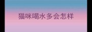 猫咪喝水多会怎样