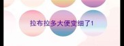 拉布拉多大便变细了