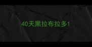 40天黑拉布拉多
