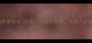 泰迪拒食训练3步法防偷吃攻略养狗人必看