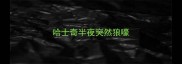 哈士奇半夜突然狼嚎