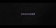拉布拉多犬的表情
