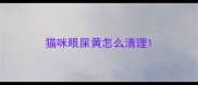猫咪眼屎黄怎么清理