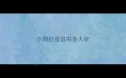 小狗打疫苗用多大针
