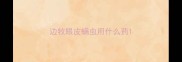 边牧眼皮螨虫用什么药