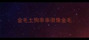 金毛土狗串串很像金毛