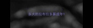多大的拉布拉多算成年