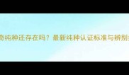 哈士奇纯种还存在吗最新纯种认证标准与辨别指南