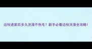 边牧进家后多久洗澡不伤毛新手必看边牧洗澡全攻略