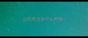 公拉布拉多什么时候
