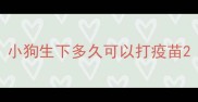 小狗生下多久可以打疫苗