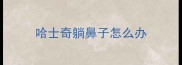 哈士奇躺鼻子怎么办