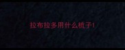 拉布拉多用什么梳子
