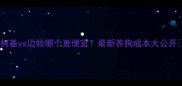 柯基vs边牧哪个更便宜最新养狗成本大公开