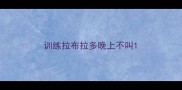 训练拉布拉多晚上不叫