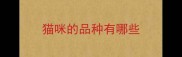 猫咪的品种有哪些