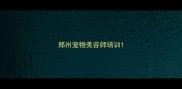 郑州宠物美容师培训