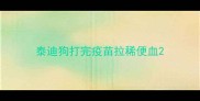 泰迪狗打完疫苗拉稀便血