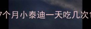 7个月小泰迪一天吃几次